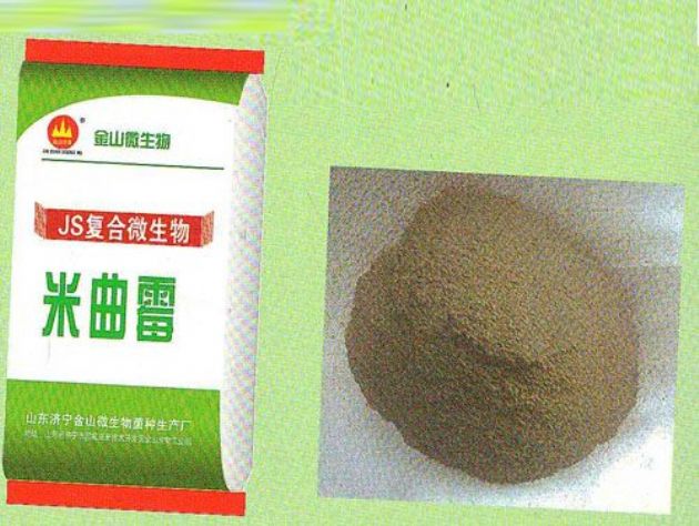 點(diǎn)擊查看詳細(xì)信息<br>標(biāo)題：米曲霉 閱讀次數(shù)：2378